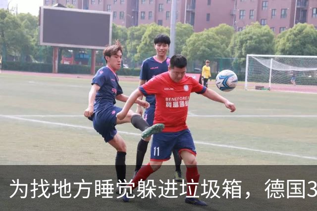 为找地方睡觉躲进垃圾箱，德国37岁流浪汉被卷入垃圾车身亡