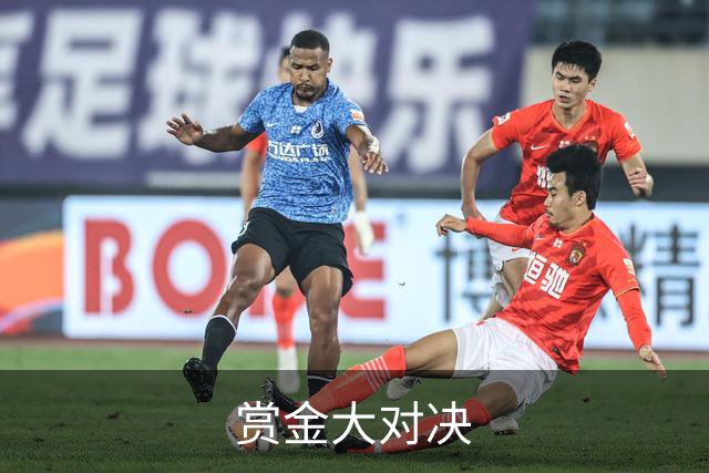 赏金大对决公司简介